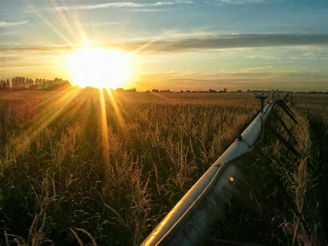 Sunset Over Corn Field Jess Johnson Flickr