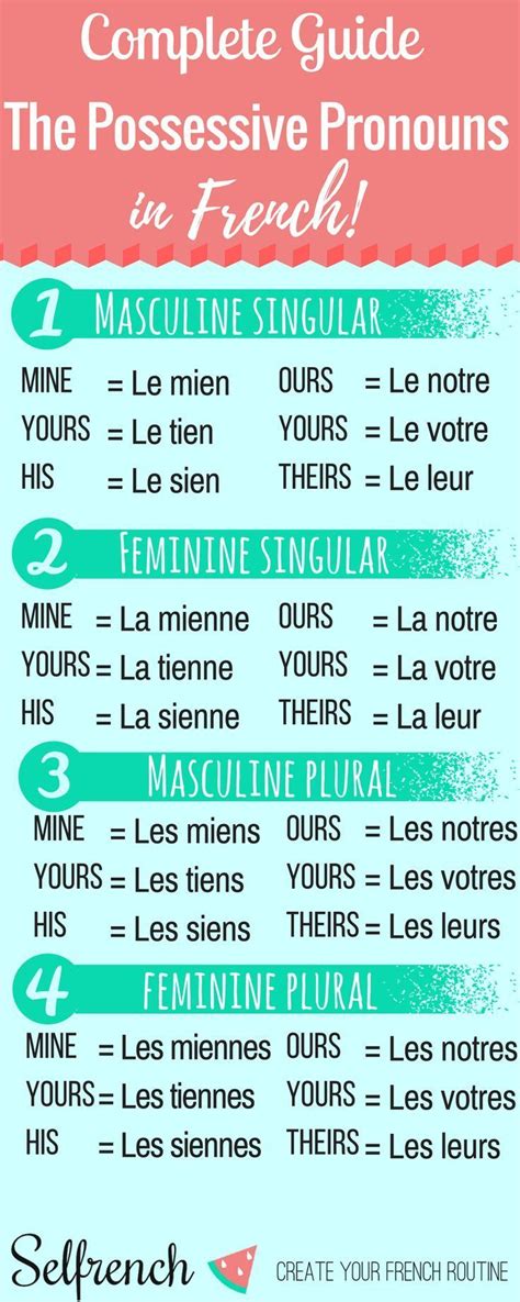 possessive pronouns in French | Französisch lernen, Französische wörter ...