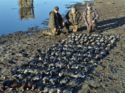 Argentina Duck Hunting Las Flores Ramsey Russells