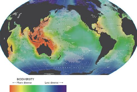 Distribution Of Biodiversity In The Oceans Biodiversity Data