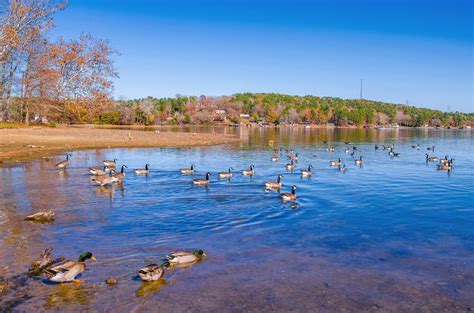 16 Best Lakes In Arkansas Planetware