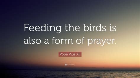 Pope Pius Xii Quote “feeding The Birds Is Also A Form Of Prayer”