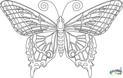 Free Printable Butterfly Coloring Page In Butterfly Coloring My Xxx