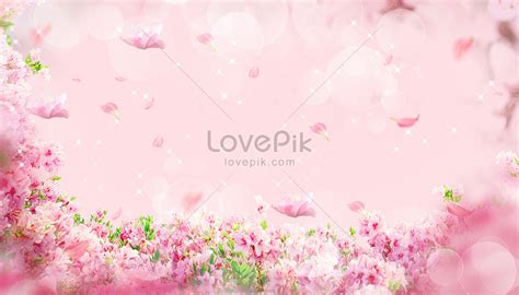 Pink Dream Flower Background Download Free Banner Background Image On