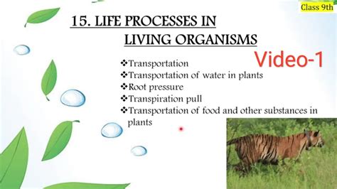 Life Processes In Living Organism Class 9 Science 9th Std 9th Std