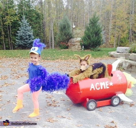 Road Runner And Wile E Coyote Kids Costume