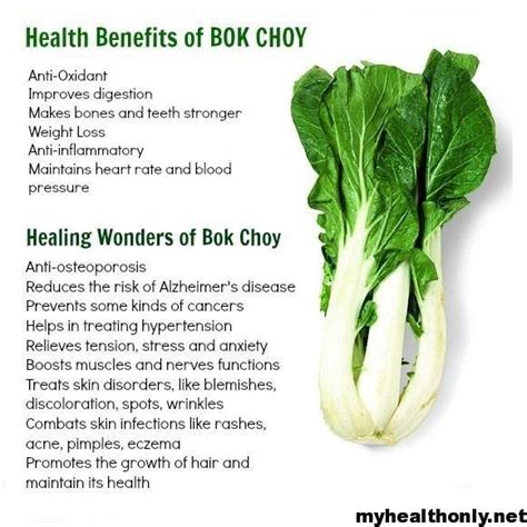 Tremendous Health Benefits Of Bok Choy You Must Know My Health Only
