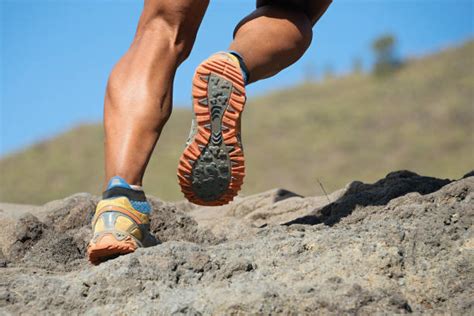 Trail Running Stock Photos Pictures And Royalty Free Images Istock