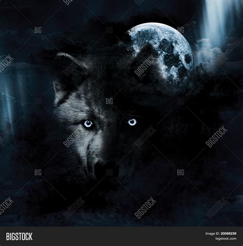 Wolf Full Moon Image And Photo Free Trial Bigstock