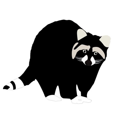Free Raccoon Transparent Background Download Free Raccoon Transparent