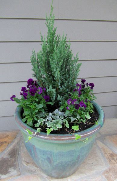 Winter Container Gardens Fall Container Gardens Winter Container