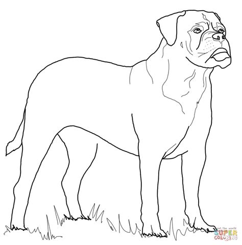 Download Mastiff Coloring For Free Designlooter 2020 👨‍🎨