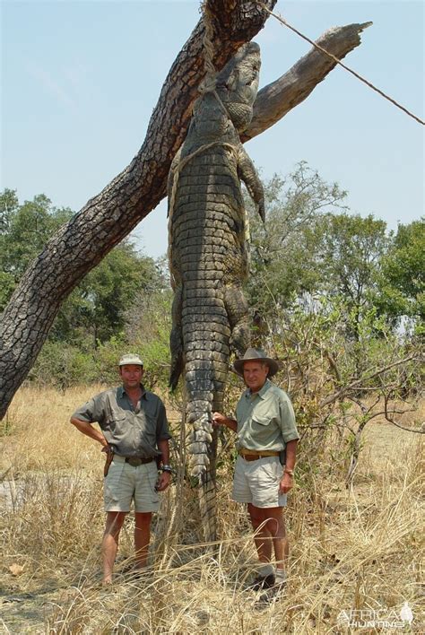 Crocodile Hunting Tanzania