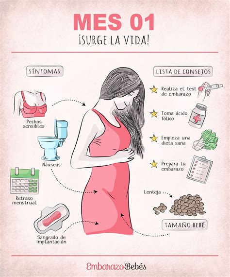 Infografía Consejos Mes 1 De Embarazo Es El Momento En El Que Una Mujer Descubre Que
