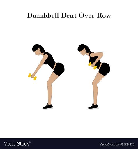 Dumbbell Bent Over Row Exercise Royalty Free Vector Image