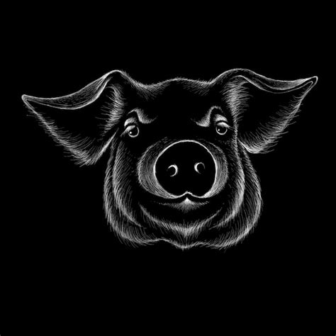 Dibujado a mano ilustración de cabeza de cerdo Vector Premium