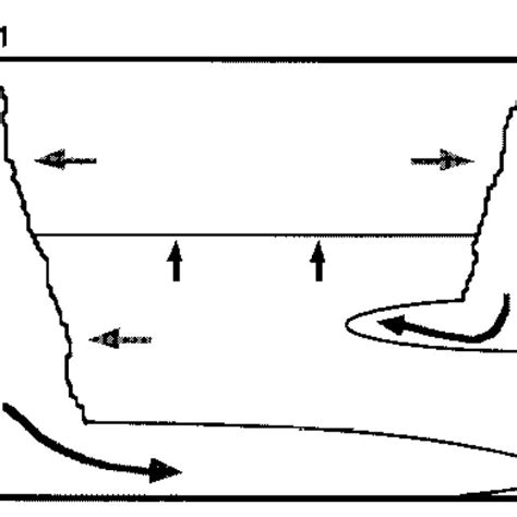 Schematic Diagram Of The Two Plume Filling Box F Is The Buoyancy Flux
