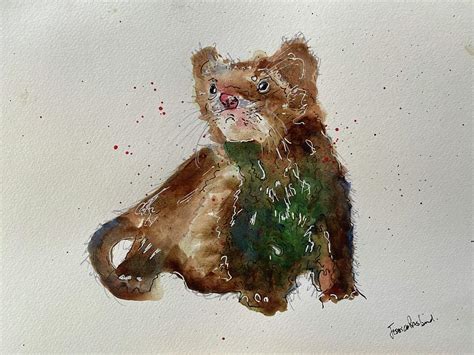 Weasel Painting By Jessica Presland Fine Art America