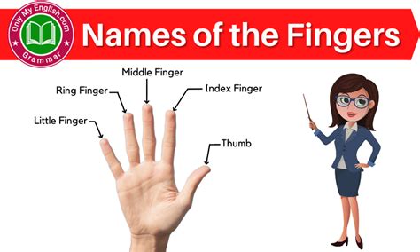 Five Fingers Name In English Onlymyenglish Com