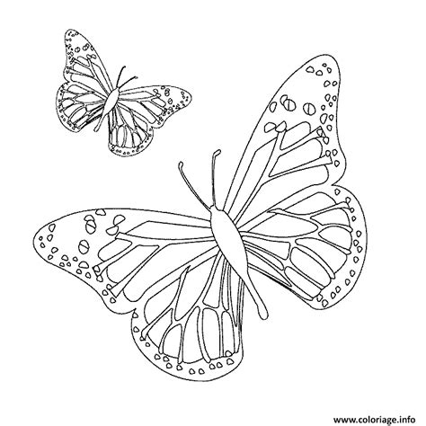 Coloriage Papillon 36