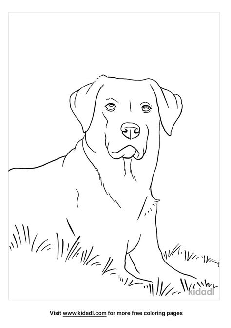 Black Lab Coloring Pages Free Animals Coloring Pages Kidadl Puppy