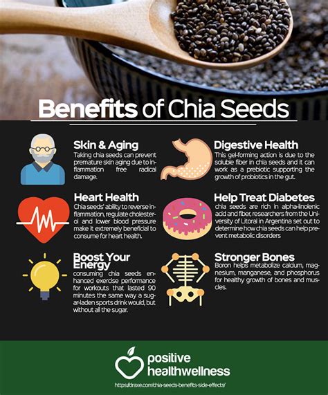 Benefits Of Chia Seeds Positive Health Wellness Infographic Chia