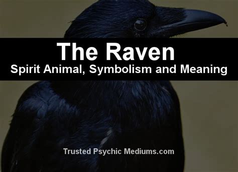 The Raven Spirit Animal A Complete Guide To Meaning And Symbolism 2022