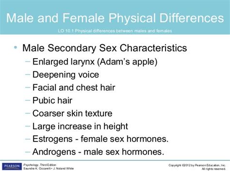 Understanding Female Anatomy