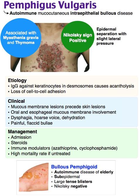 Rosh Review Dermatology Nurse Medical Knowledge Nursing Mnemonics