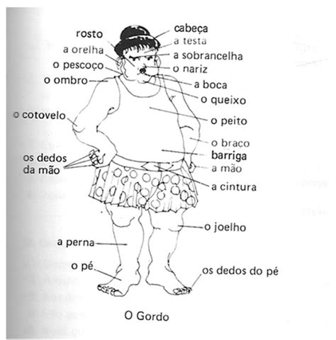 Português Para Poucos Partes Do Corpo Humano