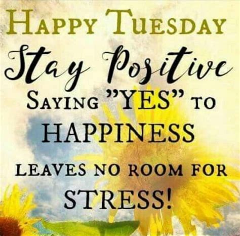 Start your day with these happy tuesday quotes, tuesday motivation quotes, happy tuesday quotes, funny tuesday quotes that we have compiled from a variety of sources over the years. 55 Funny Tuesday Quotes and Images with Inspirational ...