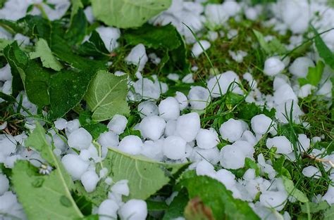 What Are The Dangerous Effects Of A Hailstorm Worldatlas