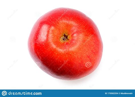 One Red Apple Isolated On White Background Stock Photo Image Of