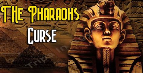 The Pharaohs Curse Facts King Tutankhamun Curse Facts Tutankhamun