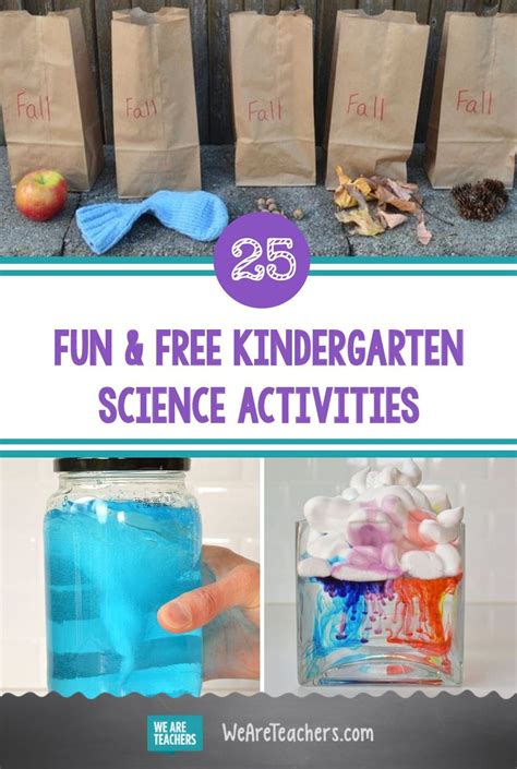 38 Fun And Free Kindergarten Science Activities For Budding Scientists