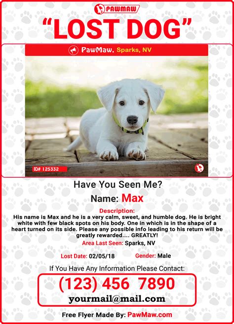 Printable Lost Pet Flyer Free Printable Templates