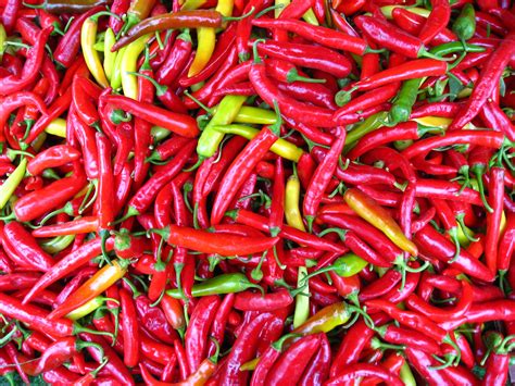 Small Red Hot Pepper Asia Seeds