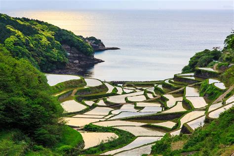 Hamanoura Rice Terraces｜the Gate｜japan Travel Magazine Find Tourism