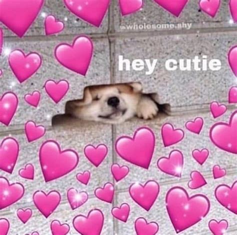 Ann On Twitter Cute Cat Memes Cute Love Memes Dog Memes