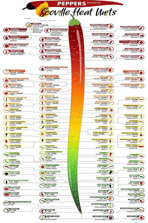 Scoville Heat Units Pepper Chart Laminated Poster Etsy Stuffed
