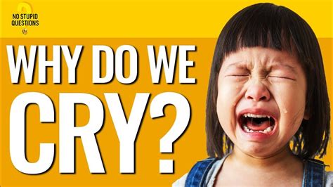 Why Do We Cry No Stupid Questions Episode 131 Youtube