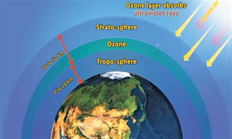 The ozone layer protects us from 97% of the harmful effects of uv rays. Environment: Shielded by ozone - Newspaper - DAWN.COM