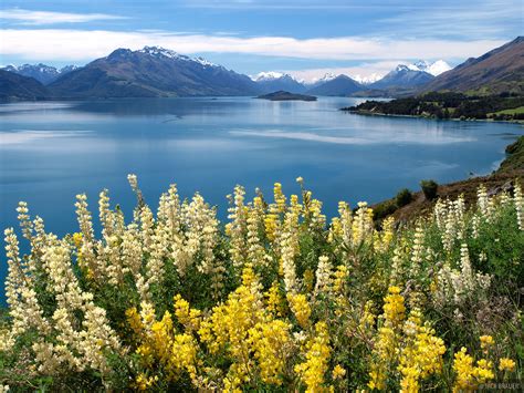 Lake Wakatipu Queenstown New Zealand Mountain Photography By Jack