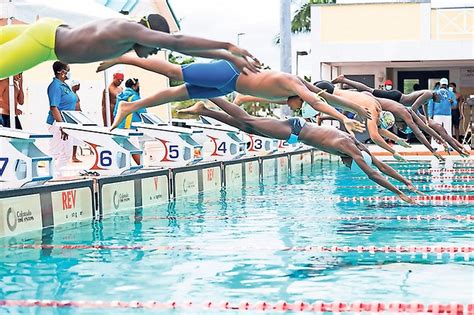‘cudas win as swimmers make a splash the tribune