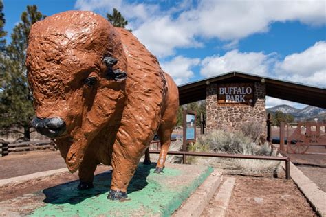 Buffalo Park Closed Indefinitely News