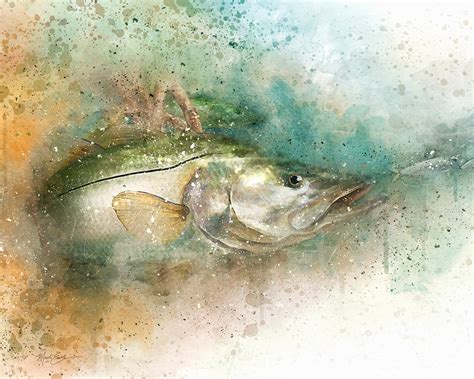 Snook Art Print Fishermans T Watercolor Style Wall Etsy