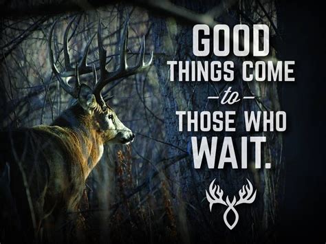 Good Luck Deer Hunting Quotes Quotesgram