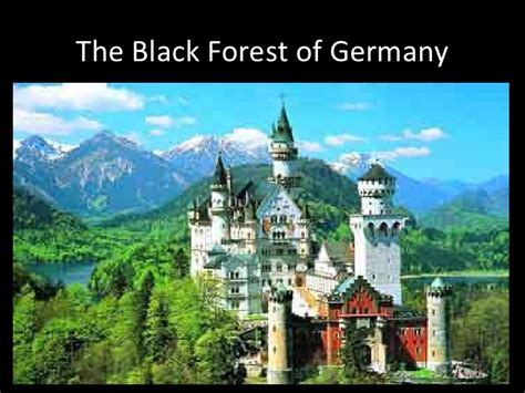 Find the perfect germany black forest stock photo. The Black Forest Of Germany