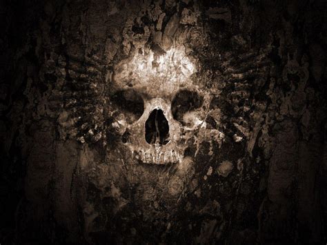 Horror Skull Wallpapers Wallpaper Cave