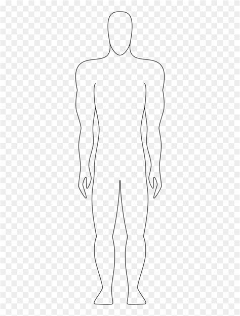Clipart Human Body Outline Line Art Hd Png Download 312x1024